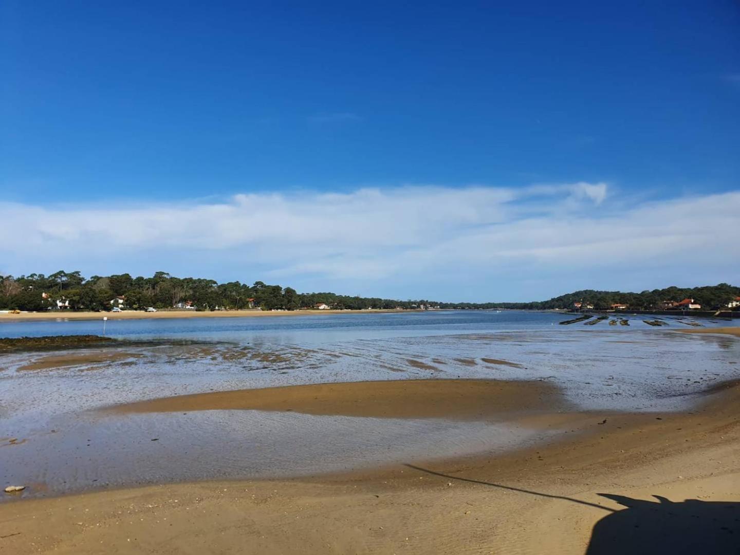Terrasses Saint Georges - Un Emplacement Exceptionnel Au Centre-Ville Et Au Calme A Quelques Pas Du Lac Marin Soorts-Hossegor Exteriör bild